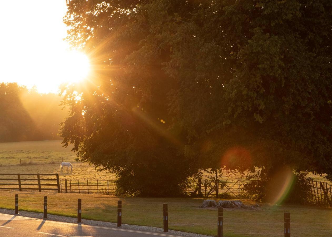 Hotel Castlemartyr Resort Hotel Castlemartyr