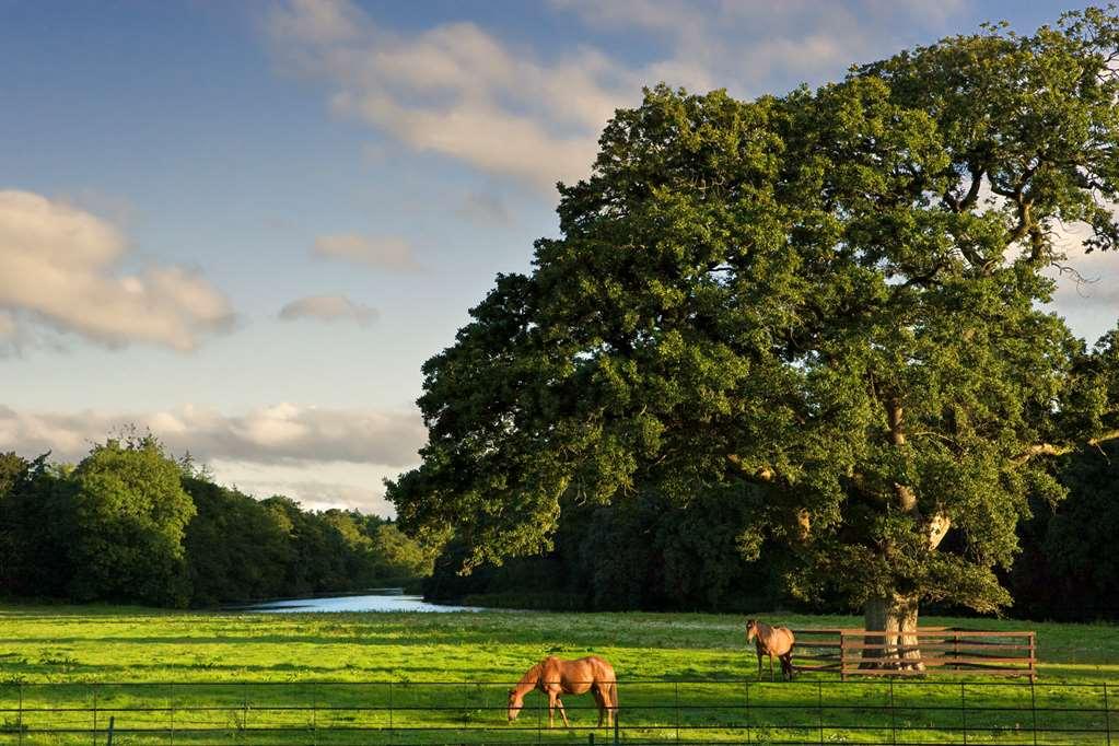 Castlemartyr Resort Hotel Hotel